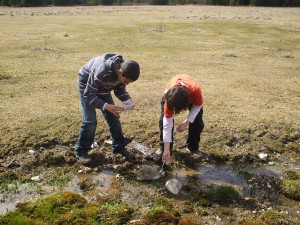 Observation de la biodiversité aquatique